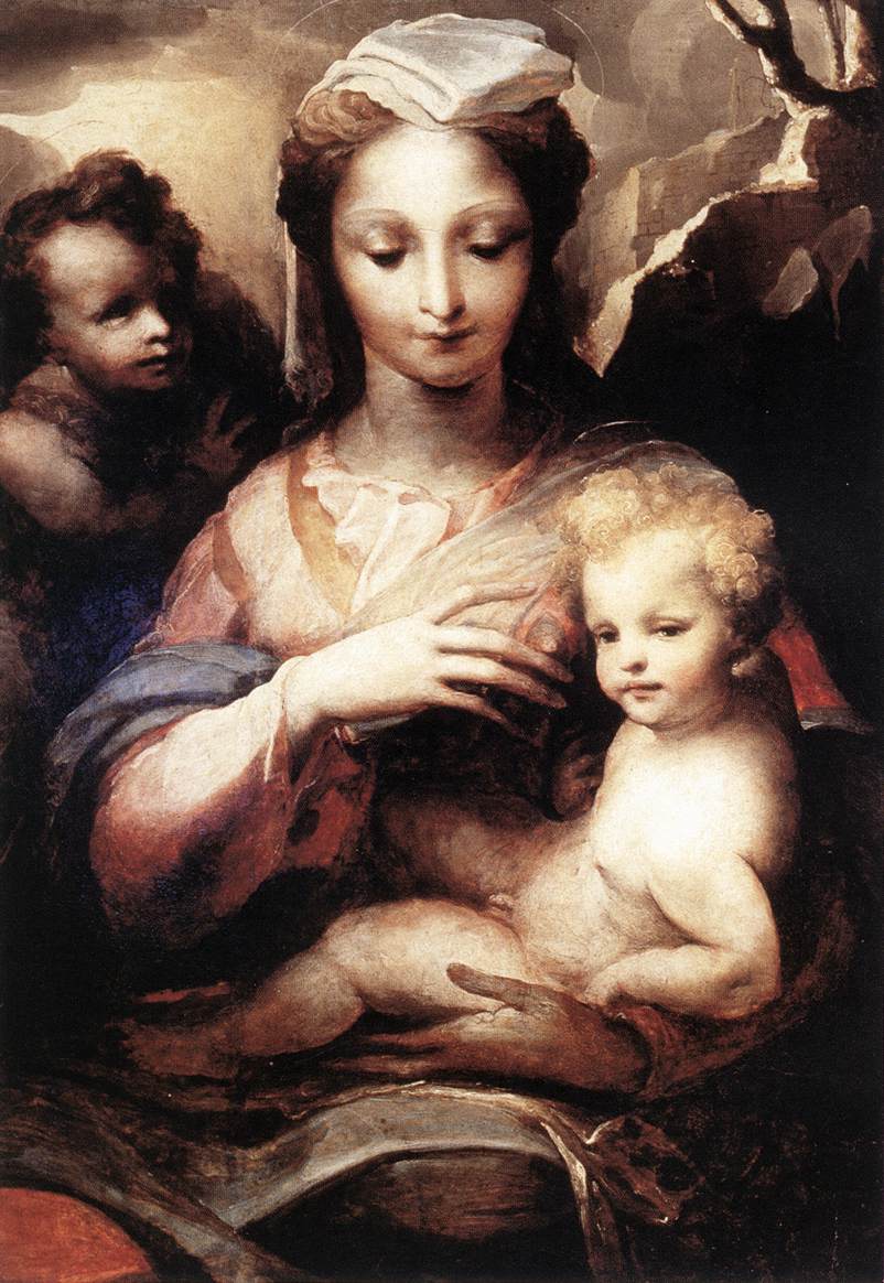 Madonna with the Infant Christ and St John the Baptist  gfgf